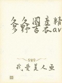 久久国产精品波多野吉衣av