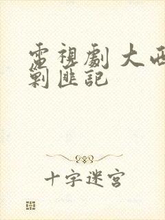 电视剧 大西南剿匪记