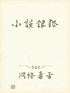 小说银狐