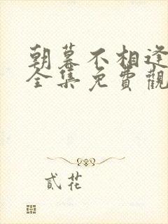 朝暮不相逢短剧全集免费观看