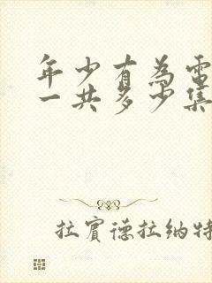 年少有为电视剧一共多少集