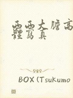 西西大胆高清人体写真