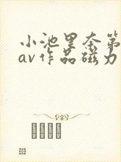 小池里奈第一部av作品磁力