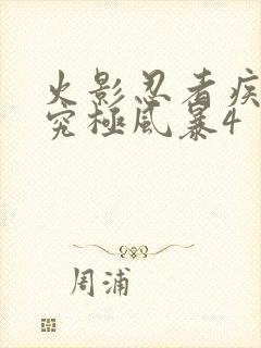 火影忍者疾风传究极风暴4