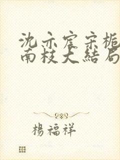 沈亦宸宋栀夏阮南枝大结局封面