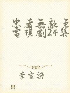 忠者无敌免费版电视剧24集播放