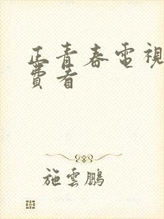 正青春电视剧免费看封面