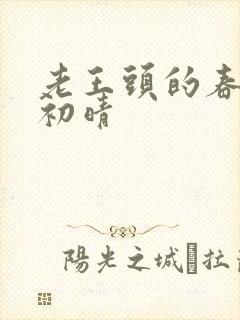 老王头的春天林初晴封面