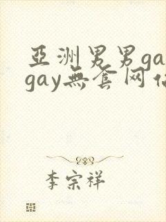 亚洲男男gaygay无套网站封面