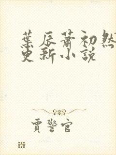 叶辰萧初然最快更新小说