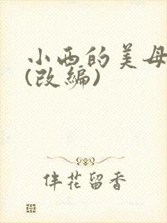 小西的美母教师(改编)