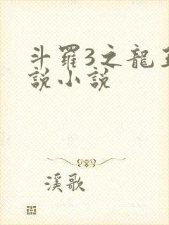 斗罗3之龙王传说小说