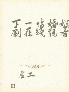 下一站婚姻电视剧在线观看免费