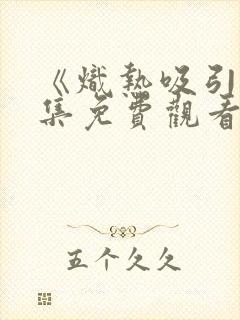 《炽热吸引》全集免费观看31集