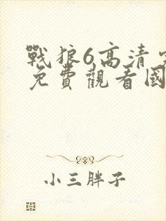战狼6高清完整免费观看国语下载
