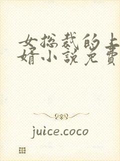 女总裁的上门女婿小说免费阅读无弹窗