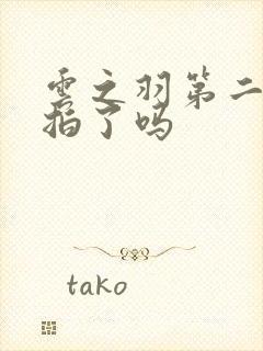 云之羽第二部开拍了吗