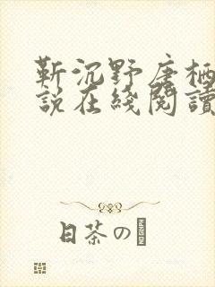 靳沉野唐栖雾小说在线阅读