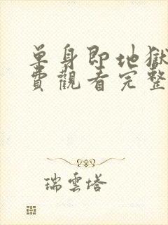 单身即地狱3免费观看完整版高清封面