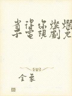 省得你灿烂的日子电视剧免费观看封面