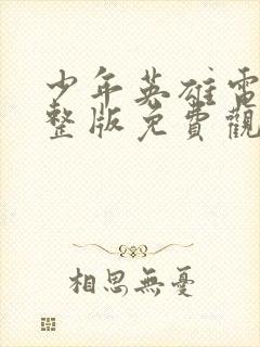 少年英雄电影完整版免费观看封面