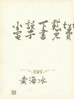 小说下载txt电子书免费全