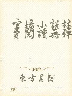 官场小说林奕免费阅读无弹窗