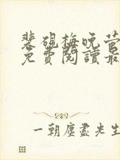 裴砚梅晚萤小说免费阅读最新章节封面