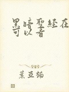 黑暗圣经在哪里可以看