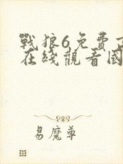 战狼6免费高清在线观看国语