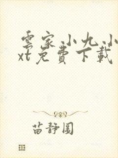 云家小九小说txt免费下载封面