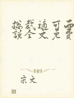 总裁适可而止小说全文免费阅读封面