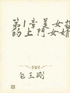 第1章美女总裁的上门女婿