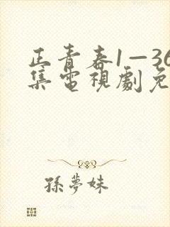 正青春1—36集电视剧免费观看36集封面