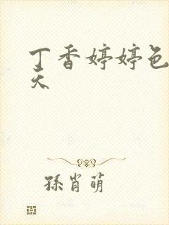 丁香婷婷色六月天封面