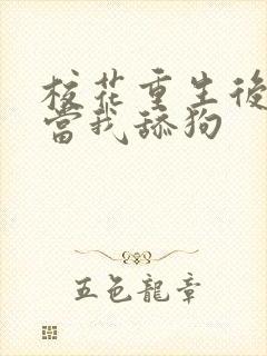 校花重生后哭着当我舔狗