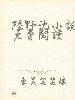 陆野沈小说全文免费阅读封面