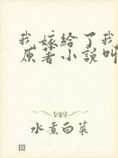 我嫁给了我儿子原著小说叫什么