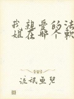 我亲爱的法医小姐在哪个软件看小说