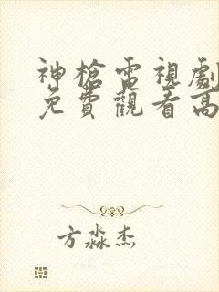 神枪电视剧全集免费观看高清完整版