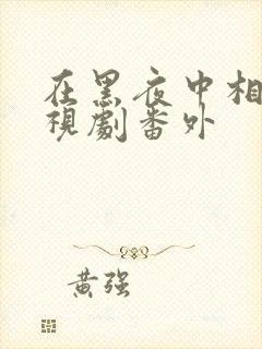 在黑夜中相拥电视剧番外