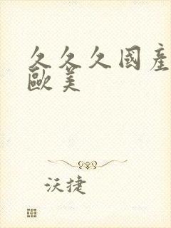 久久久国产精品欧美封面