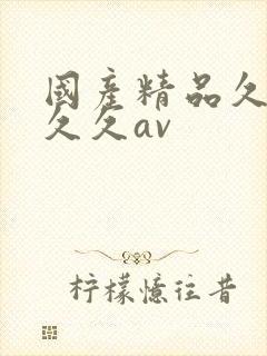 国产精品久久久久久av