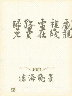 归路电视剧高清免费在线观看