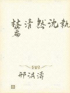 林清然沈执番外篇