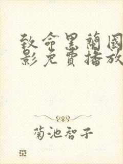 致命黑兰国语电影免费播放