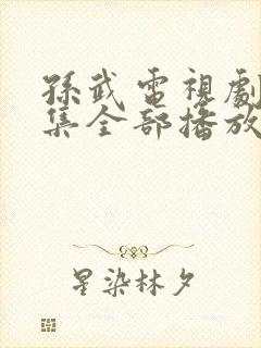 孙武电视剧40集全部播放