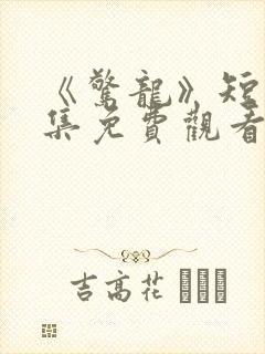 《惊龙》短剧全集免费观看