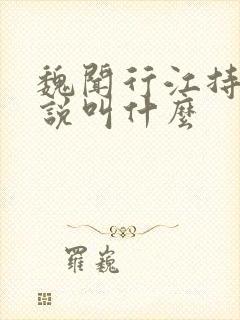 魏闻行江持风小说叫什么