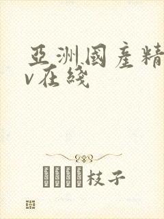 亚洲国产精品av在线